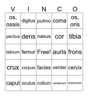 Latin Body Parts Bingo Card