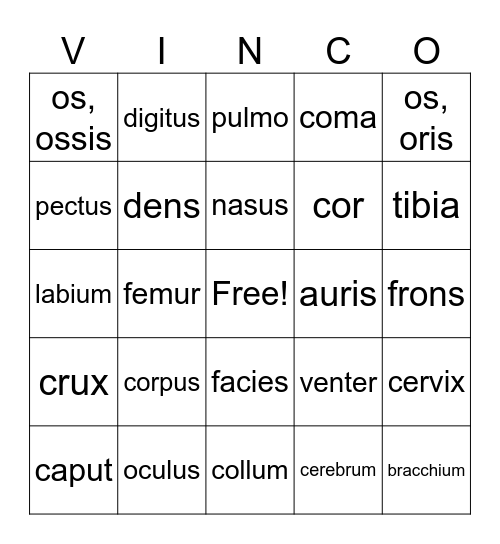 Latin Body Parts Bingo Card