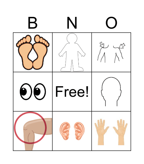El Cuerpo Bingo Card