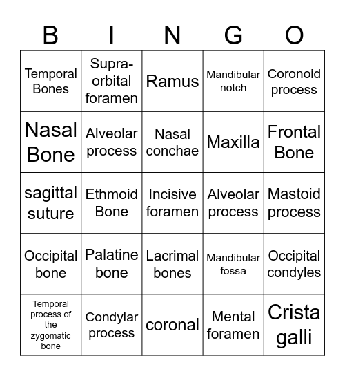 Skull Bingo Card