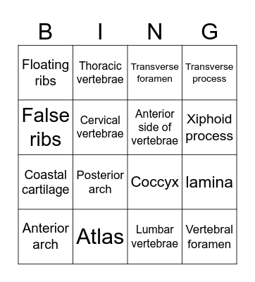 Axial Skeleton Bingo Card