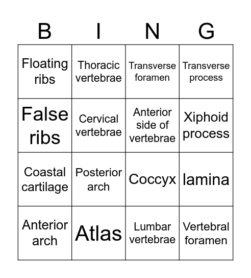 Axial Skeleton Bingo Card