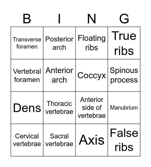Axial Skeleton Bingo Card