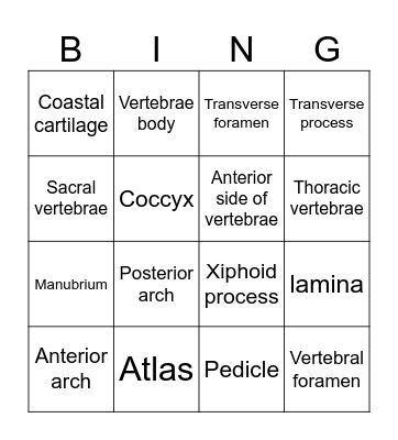 Axial Skeleton Bingo Card