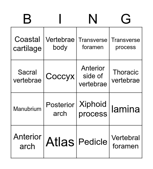 Axial Skeleton Bingo Card