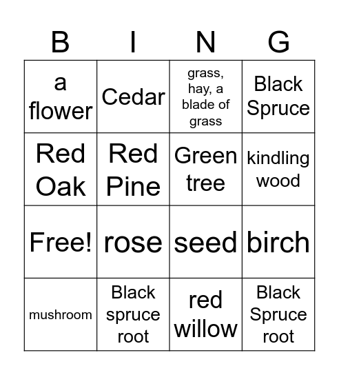 Anishinaabe Bingo Card Bingo Card