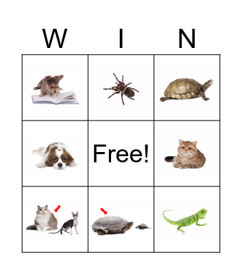 Hexa Animals Bingo Card