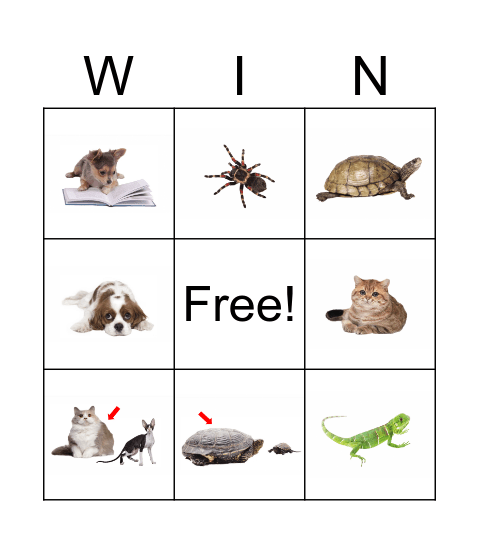 Hexa Animals Bingo Card