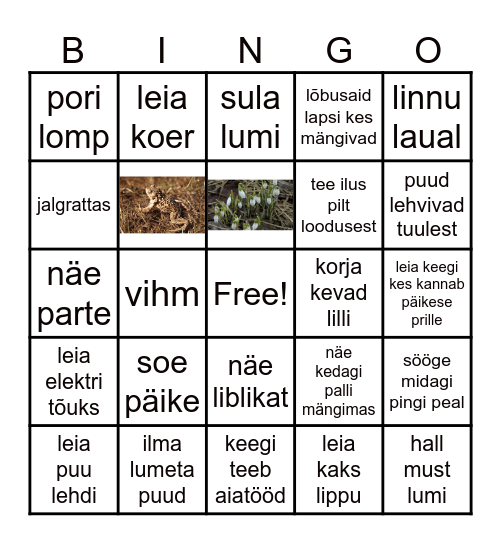 kevad Bingo Card