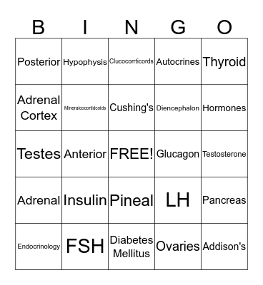 Endocrine Bingo! Bingo Card