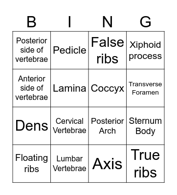 Axial Skeleton Bingo Card