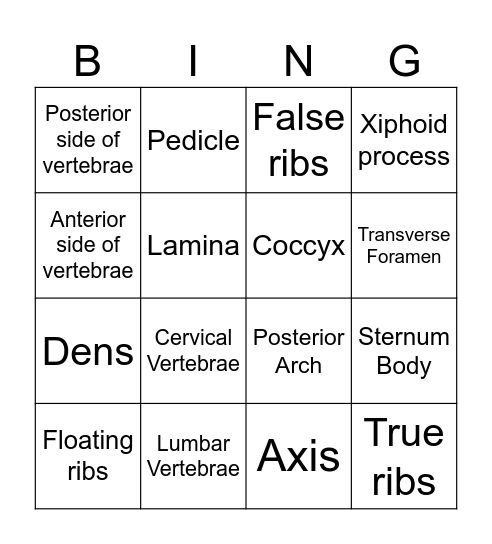 Axial Skeleton Bingo Card