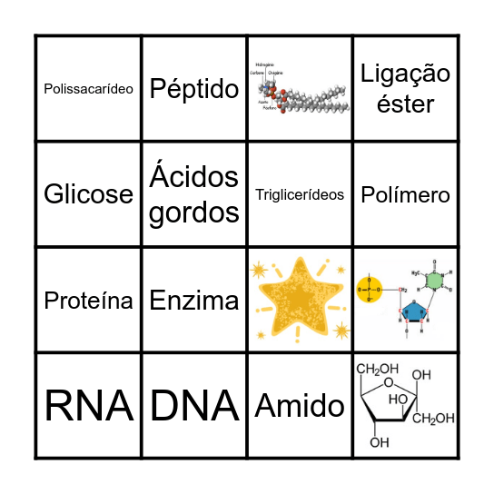 Bingo das Biomoléculas Bingo Card