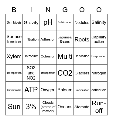 Cycles of Matter Bingo Card