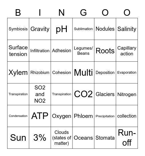 Cycles of Matter Bingo Card