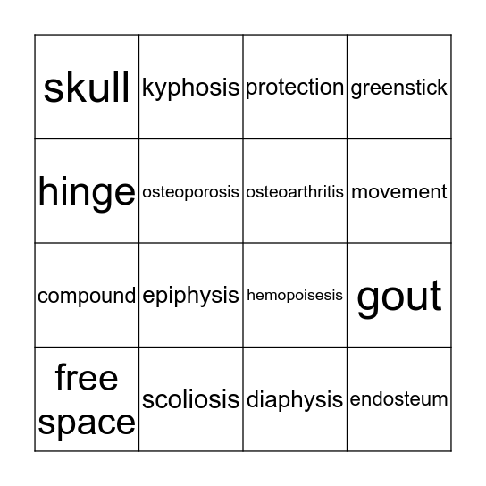 skeletal system  Bingo Card