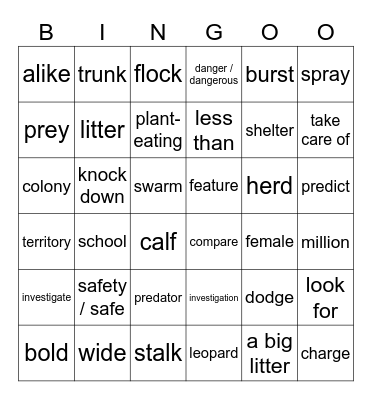 Big Cats & Safety in Numbers Word Review Bingo Card