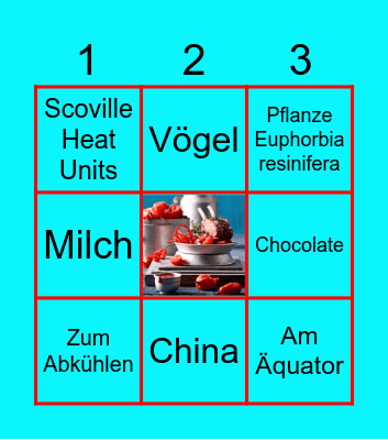 Chili Bingo Card