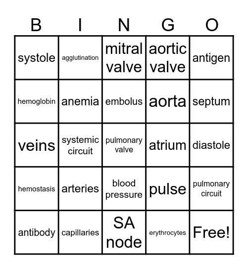 Blood & Cardiovascular System BINGO Card