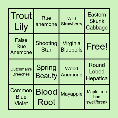 Spring Ephemerals Bingo Card