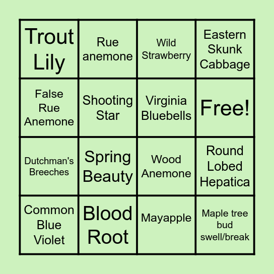 Spring Ephemerals Bingo Card