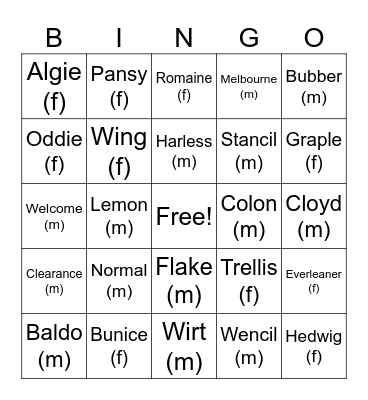 (bad) baby name bingo Card