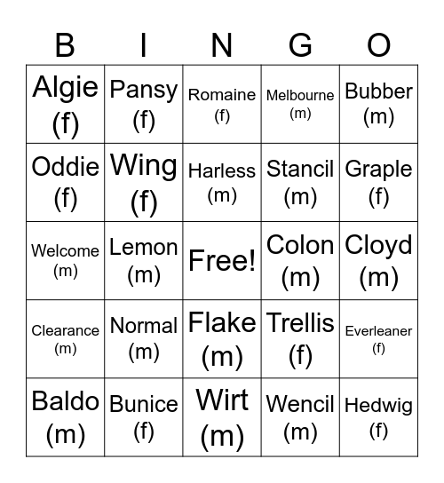 (bad) baby name bingo Card