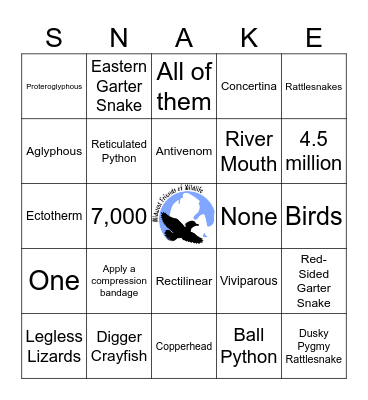 Sip and Slither Bingo Card