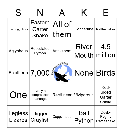 Sip and Slither Bingo Card