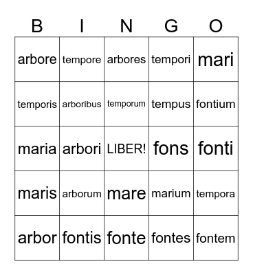 TREE, FOUNTAIN, TIME, and SEA in Latin all cases Bingo Card
