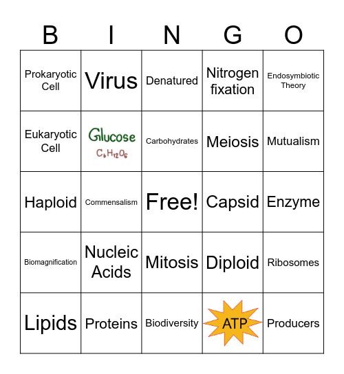 Biology Benchmark Review Bingo Card