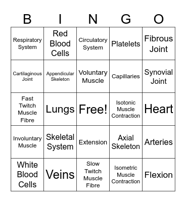 Body Systems Bingo Card