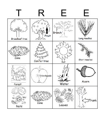 Tree Bingo Card