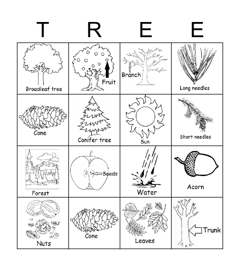 Tree Bingo Card