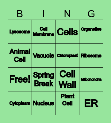 Cell Organelles Bingo Card