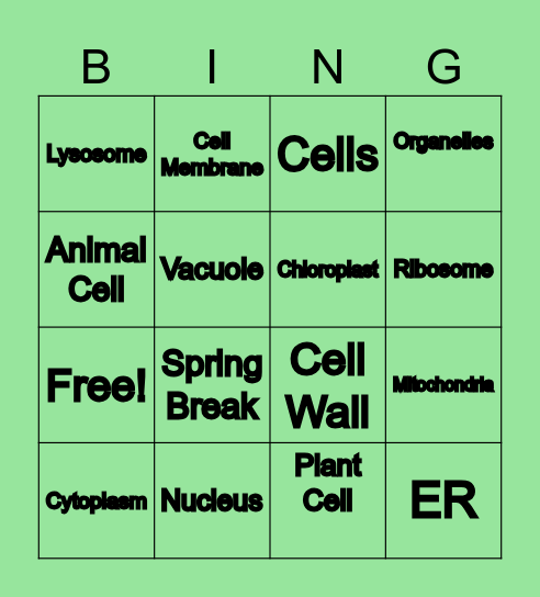 Cell Organelles Bingo Card
