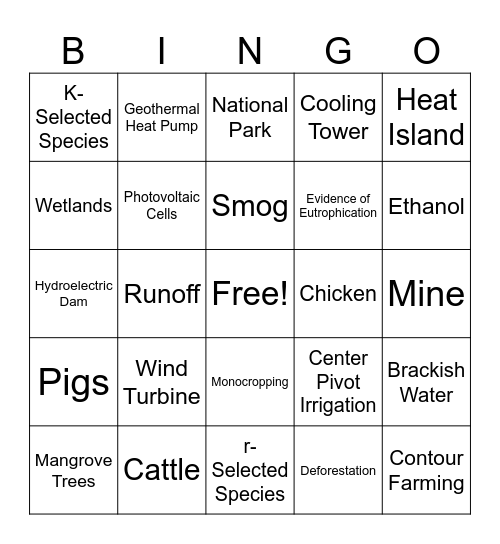 APES Card 1 Bingo Card