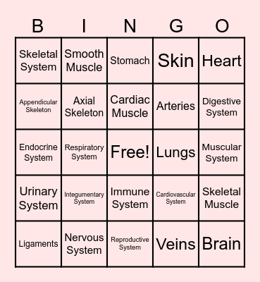 Body Systems Bingo Card