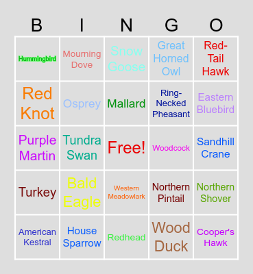 North Dakota Birds Bingo Card