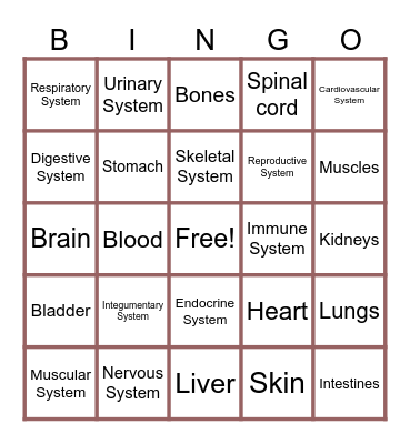 Human Body Bingo Card