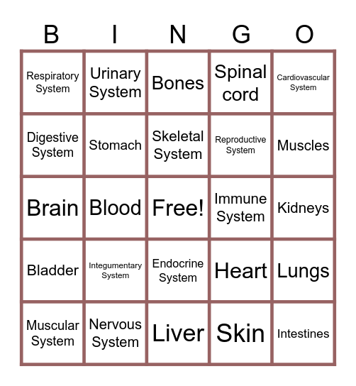 Human Body Bingo Card