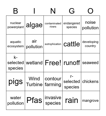 Liv and Gabi Bingo Card
