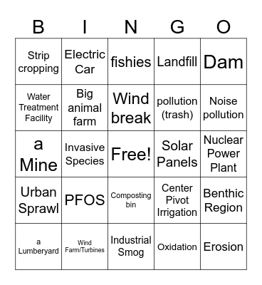 The Bingo Card Bingo Card