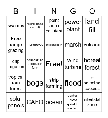 Environmental Explorers Bingo Card