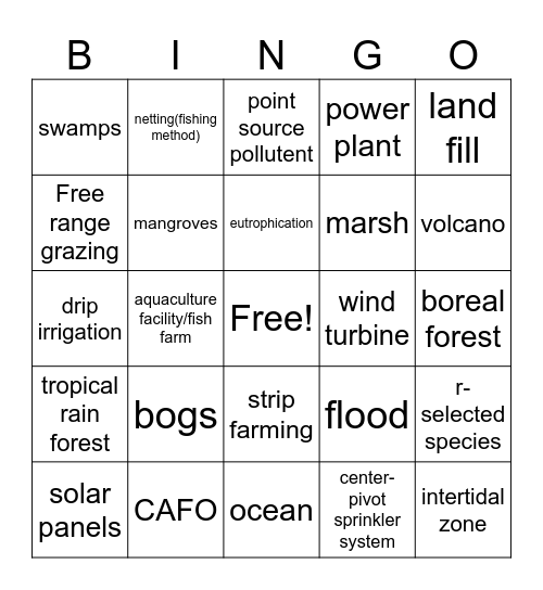 Environmental Explorers Bingo Card