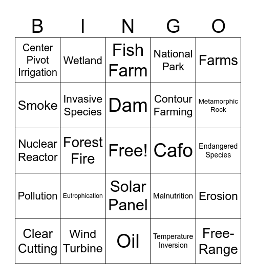 APES Bingo Card