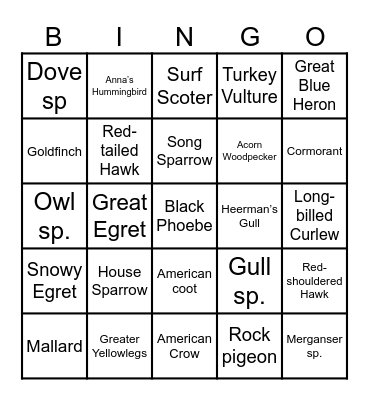 Birding Bingo! Bingo Card