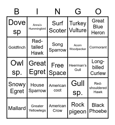 Birding Bingo! Bingo Card