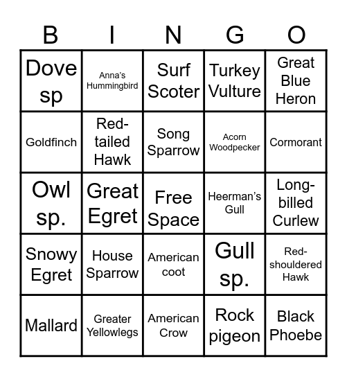 Birding Bingo! Bingo Card