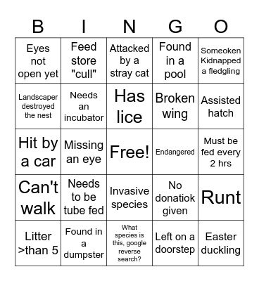 Orphan Season Bingo Card